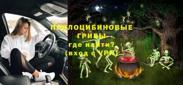соль курить ск Белокуриха