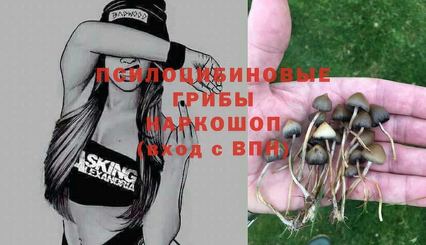 дживик Зеленодольск