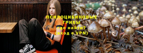 гидропоника Белоозёрский