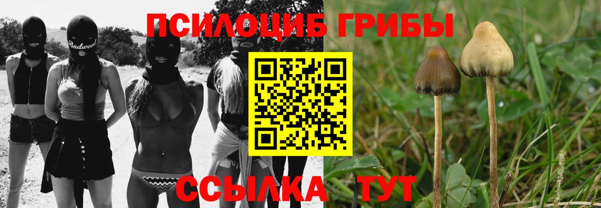 Буйнакск  Галлюциногенные грибы ЛСД  Галлюциногенные грибы Psilocybe  хочу   Вход с VPN 