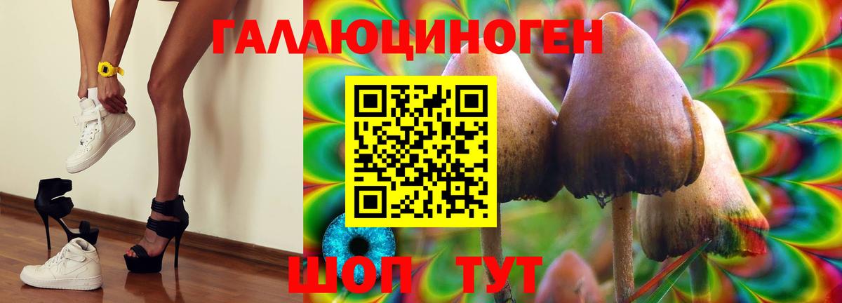 Псилоцибиновые грибы мухоморы Буйнакск