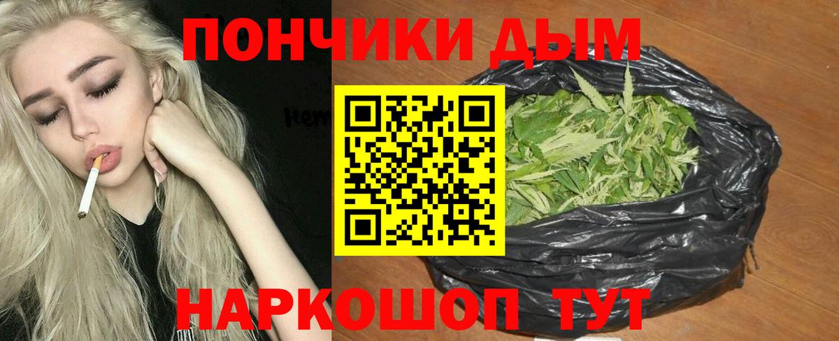 Каннабис тримм  Бошки марихуана планчик  Буйнакск  Вход с VPN  Шишки марихуана планчик 